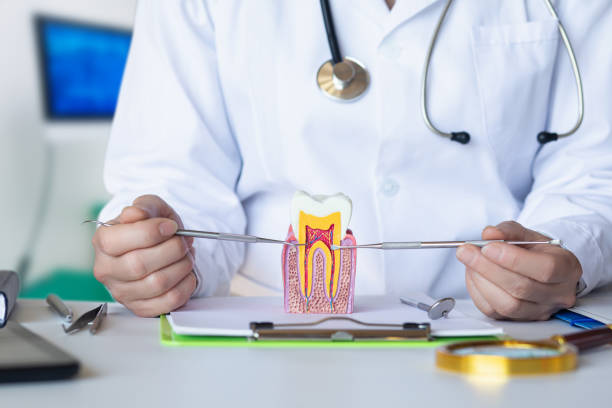 Best Emergency Treatment for Oral Infections in Mshall, AR